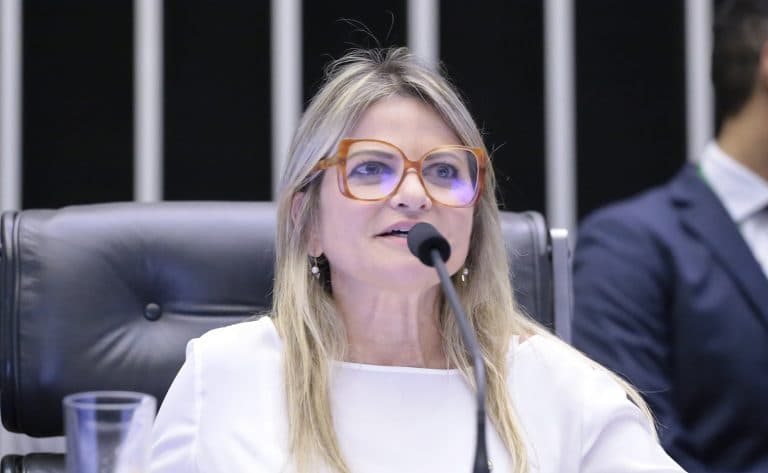 Deputada Flávia Morais (PDT-GO) durante sessão na Câmara dos Deputados